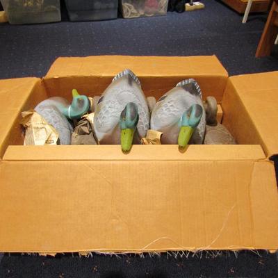 Sale Photo Thumbnail #251: Set of 6 vintage Ariduk Mallard duck lures