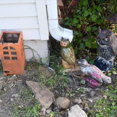 905 back yard