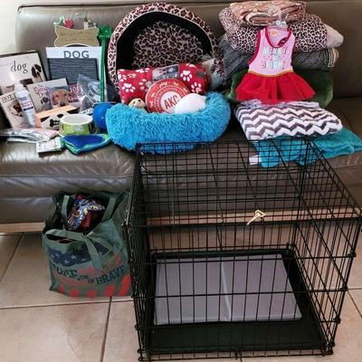 Large Doggie Lot...with Mystery Bag O Goodies 