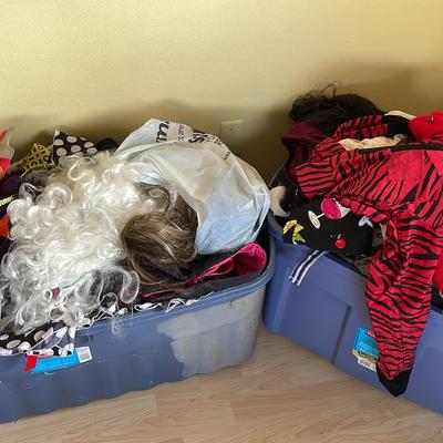 Mystery Lot Of Costumes, Wigs, Hats Etc.