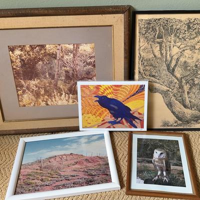 Lot 5 Nature Art & Photo Prints Framed