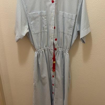 Vintage Striped Blue Dress with Red Belt 