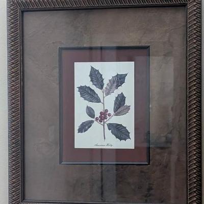 Botanical Print American Holly 