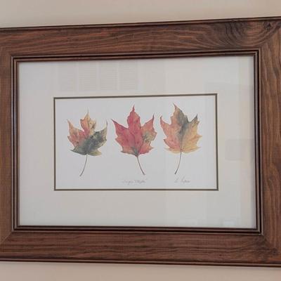 Sugar Maple By Papais Signed Print Framed and Matted