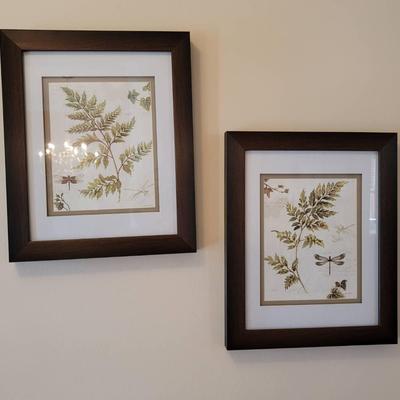 Dragonfly And Fern Framed Decor Prints
