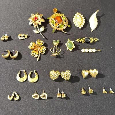 Pins and Earrings Costume Jewelry Lot 