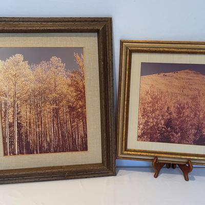 Vintage Framed Fall Prints