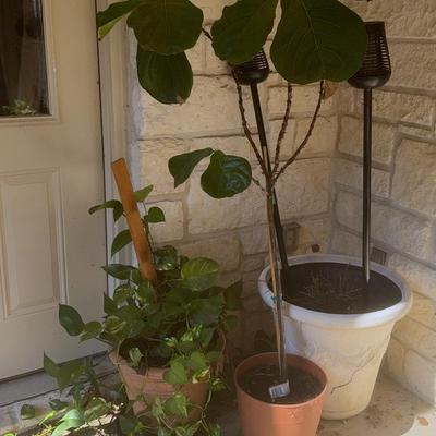 Lot Of Three Lightweight Planters Two Solar Lamps And More