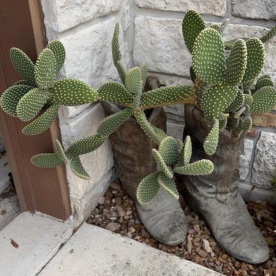 Boots Planters With Cactus
