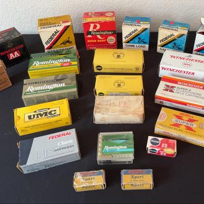 Assortment Of Ammo
