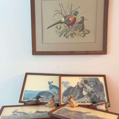 Framed Bird Prints & Duck Figurine Collection