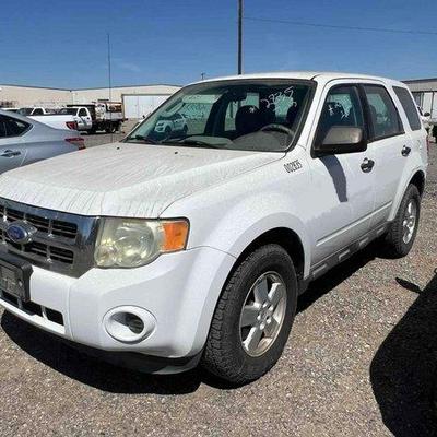 #335 • 2011 Ford Escape

