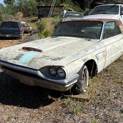 Sale Photo Thumbnail #10: #90 • T Bird
