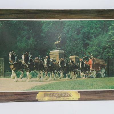 Sale Photo Thumbnail #424