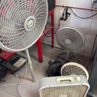 #1246 • 5 Fans
