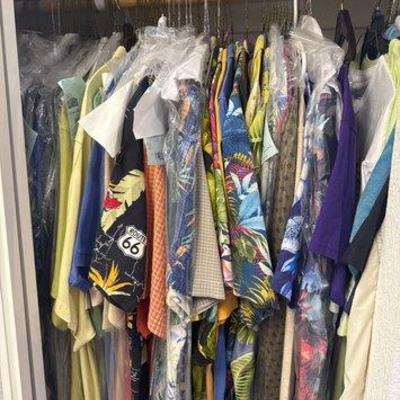#7022 • Dry Cleaned Shirt Collection
