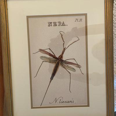 Sale Photo Thumbnail #32
