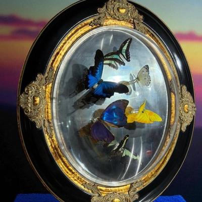 Victorian bubble frame with blue butterflies lot 1