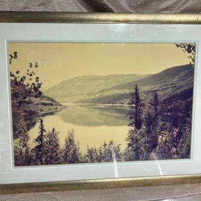 Vintage framed nature photograph