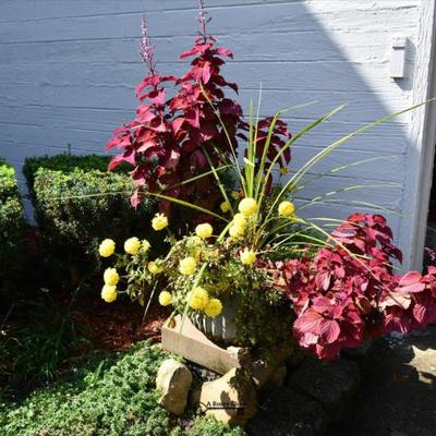 1031 front yard