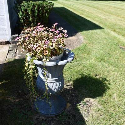 1037 front yard