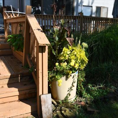 1067 back yard
