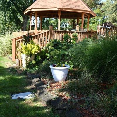 1061 back yard