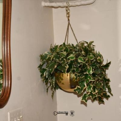 0980 basement