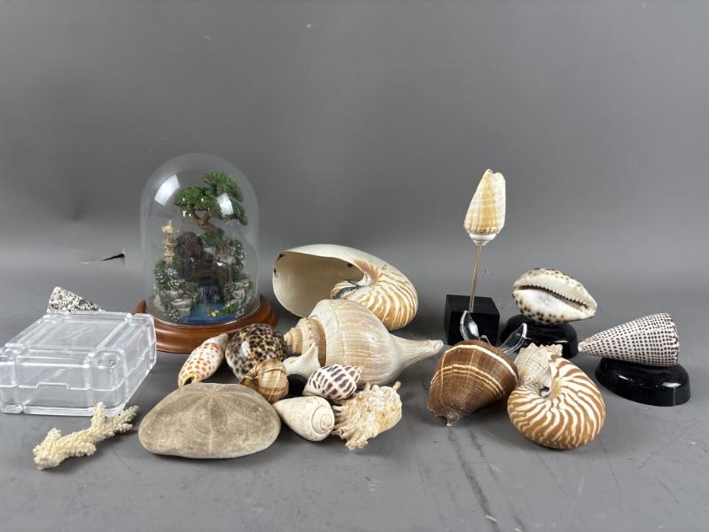 Sale Photo Thumbnail #397