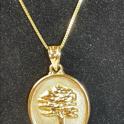 14K Longevity Pendant + 30” Mirror Box Chain