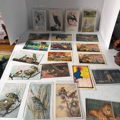 Sale Photo Thumbnail #591
