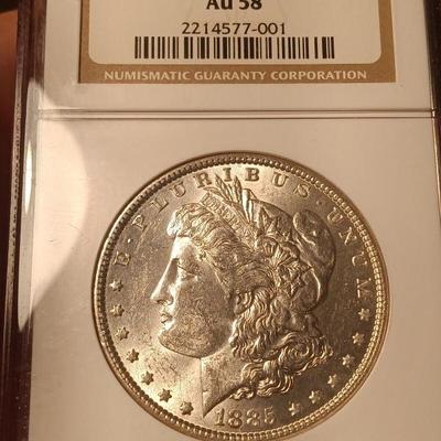 Collection of Morgans