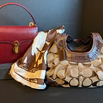 Designer Handbags & Scarf