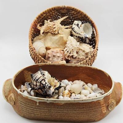 Seashell Collection in Ceramic Vessel & Beautiful Basket