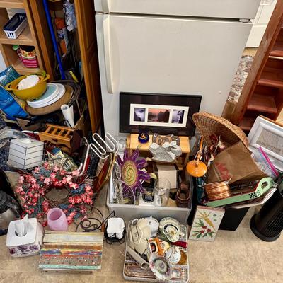 Mega Household Mystery Lot