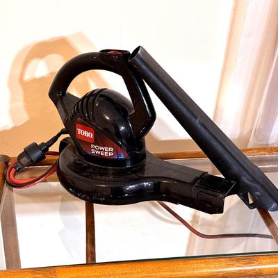 Toro Power Sweep