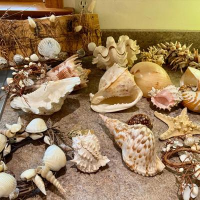 Seashell & Beach Decor Galore