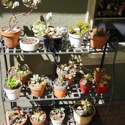 Sale Photo Thumbnail #112