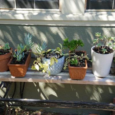 Sale Photo Thumbnail #111