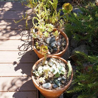 Sale Photo Thumbnail #113