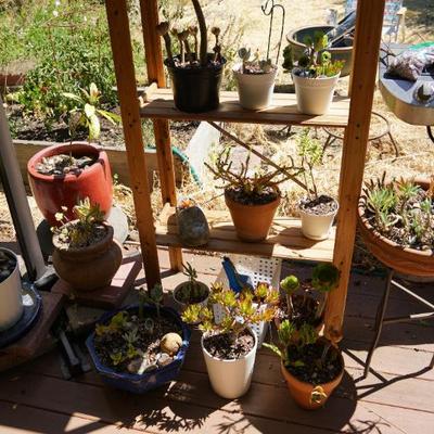 Sale Photo Thumbnail #114