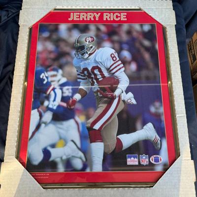 Jerry Rice 16x20 Gold Framed San Francisco 49ers Photo