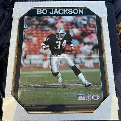 Bo Jackson 16x20 Gold Framed Oakland Raiders Photo