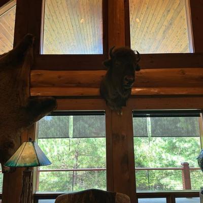 Sale Photo Thumbnail #455