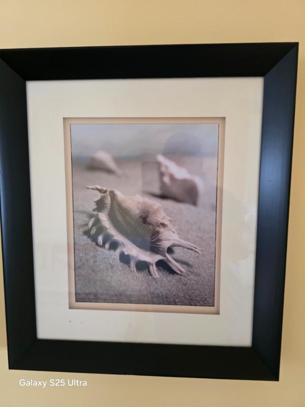Sale Photo Thumbnail #15