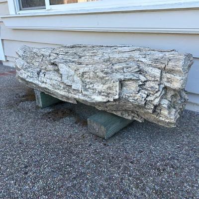HUGE petrified wood - about 500 pound