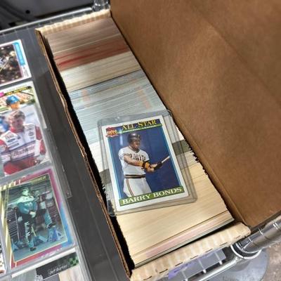 Sale Photo Thumbnail #244
