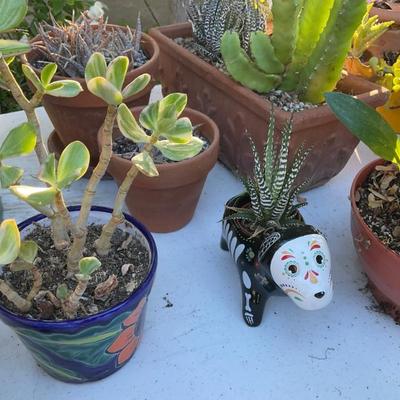 Sale Photo Thumbnail #153