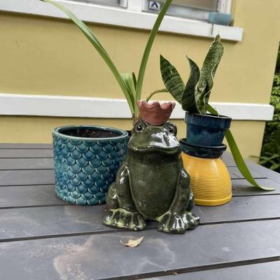 538255486 1768736557079374 8409101734655599529 n