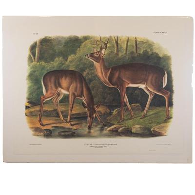 Sale Photo Thumbnail #69
